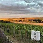 Bella Vista - Winzerhof Golk Pensionat