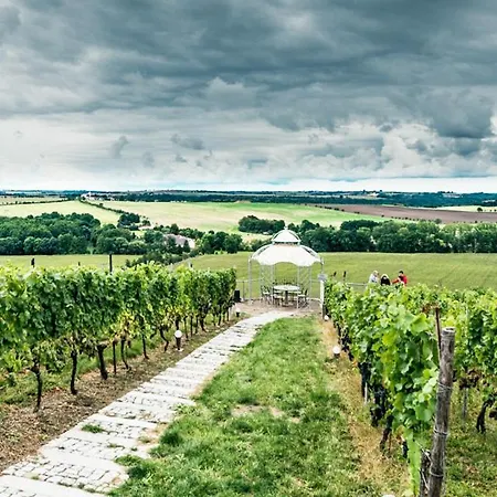 Bella Vista - Winzerhof Golk *