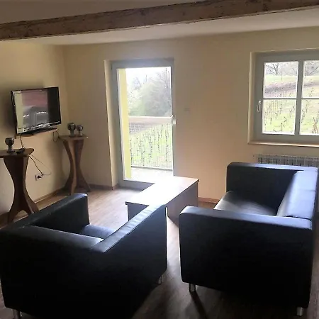 Guest house Bella Vista - Winzerhof Golk Meissen