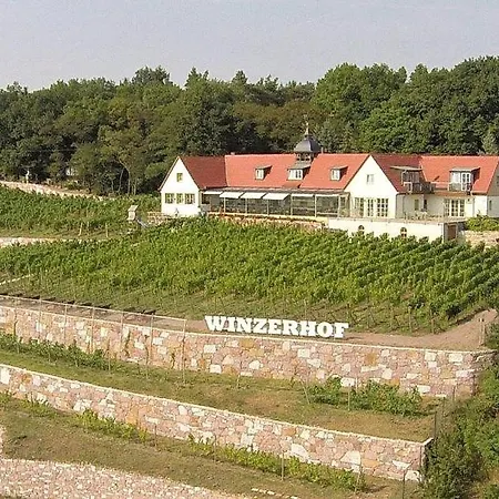 Bella Vista - Winzerhof Golk Meißen