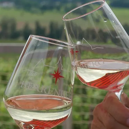 Bella Vista - Winzerhof Golk Meißen