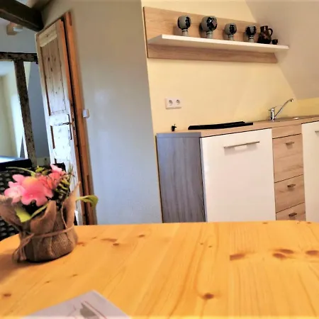 Bella Vista - Winzerhof Golk Guest house Meissen