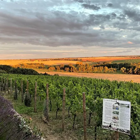 Bella Vista - Winzerhof Golk Гостевой дом