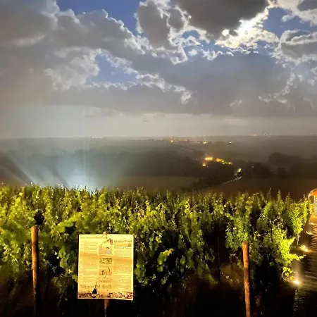 بيت ضيافة Bella Vista - Winzerhof Golk 3*