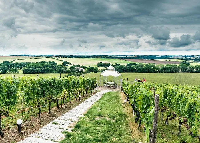 Bella Vista - Winzerhof Golk 3*