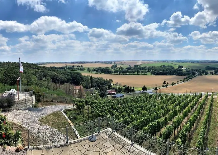 Maison d'hôtes Bella Vista - Winzerhof Golk 3*