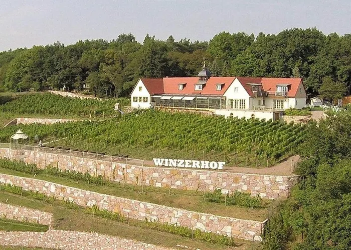 Bella Vista - Winzerhof Golk Meissen
