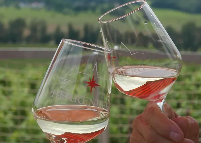 Bella Vista - Winzerhof Golk Meissen