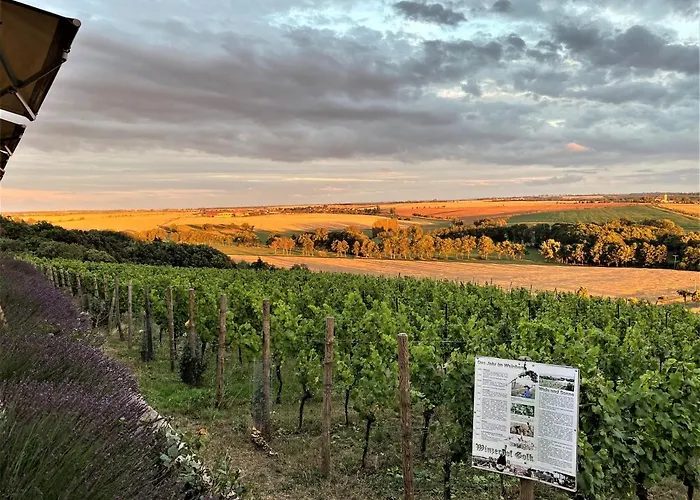 Bella Vista - Winzerhof Golk Affittacamere