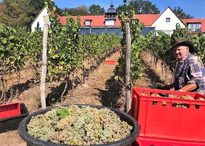 Bella Vista - Winzerhof Golk 3* Meissen